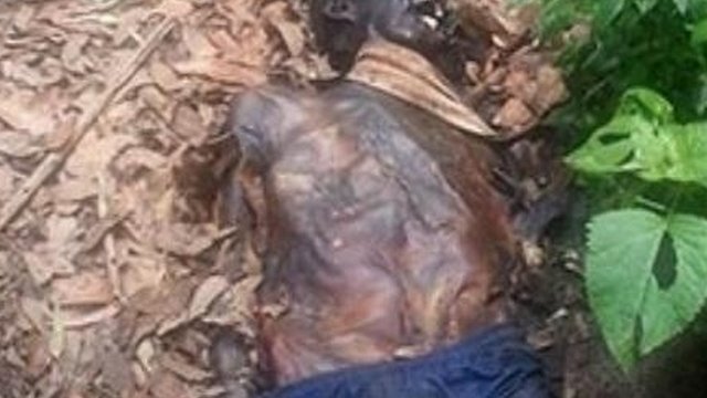 Aparece una momia en el Bosque de Chapultepec