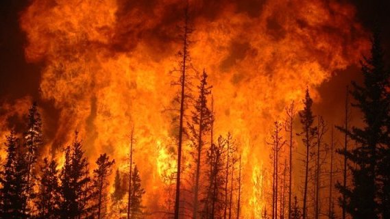 Incendios de última semana dañaron 364 hectáreas en el país
