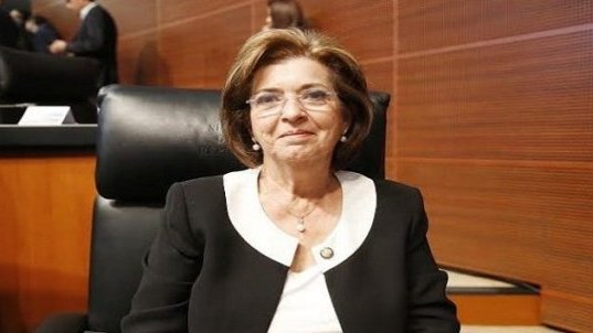 No se necesita un diputado en el distrito 09, dijo la senadora panista Silvia Martínez