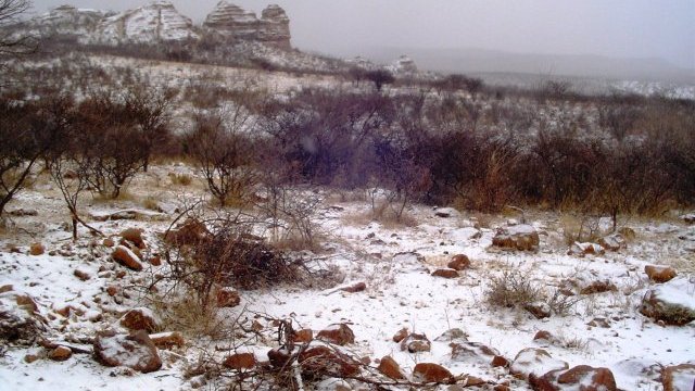 Se mantiene pronóstico de más nevadas en Chihuahua