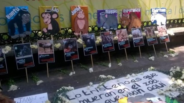 Protestan por muertes de animales en Chapultepec