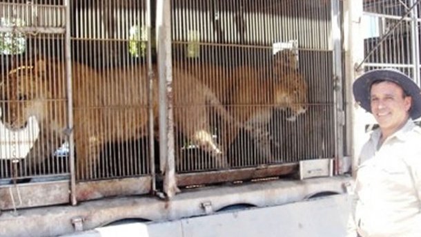 Chileno abandona cuatro tigres en presa La Boquilla 