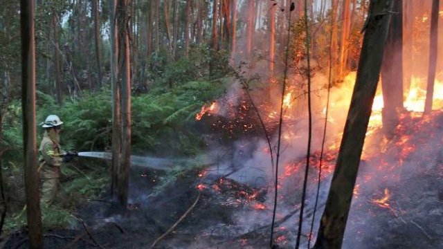 Suman 62 muertos por incendios forestales en Portugal