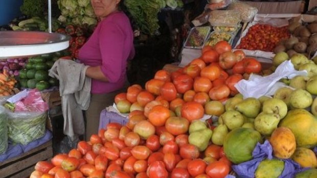 Prevén aumento al precio del tomate en un 100%