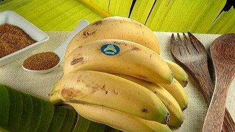 Nanocelulosa, el material del futuro que surge del plátano