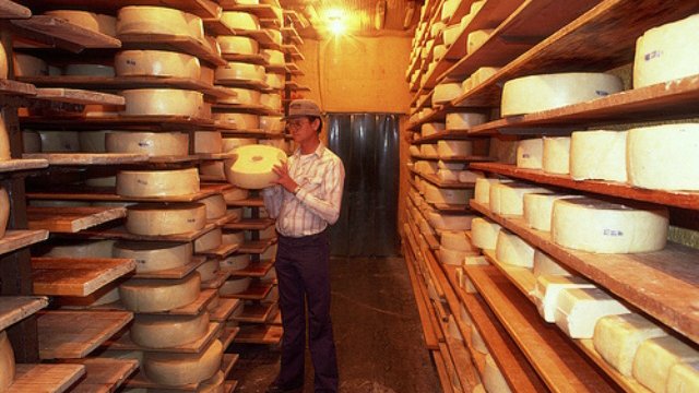 En Cuauhtémoc, la industria local del queso fascina a turistas