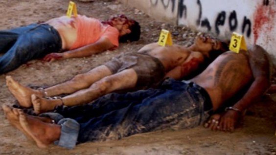 Hallan 59 cadáveres en narcofosas en Tamaulipas