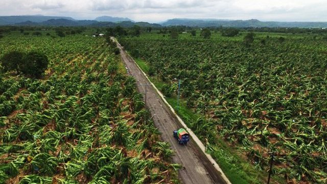 El huracán Katia daña 200 mil hectáreas de cultivos