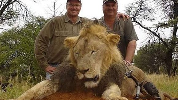 Zimbabue pide a EEUU la extradición del cazador que mató al famoso león Cecil