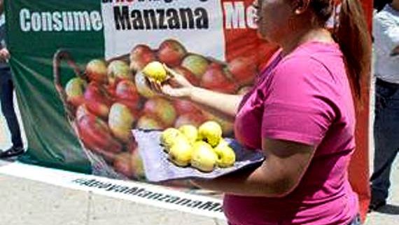 Logran manzaneros de Chihuahua sanciones contra manzana gringa