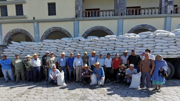 Apoya alcalde de Ahuatempan a productores de maíz y frijol
