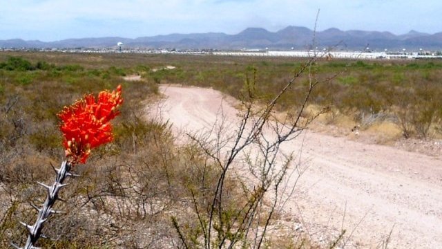 Otro feminicidio en Chihuahua: hallan a adolescente muerta en Punta Oriente