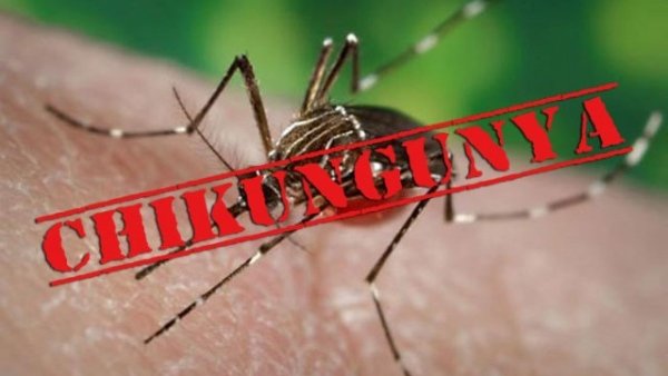 Confirman primer caso de chikungunya en Chihuahua