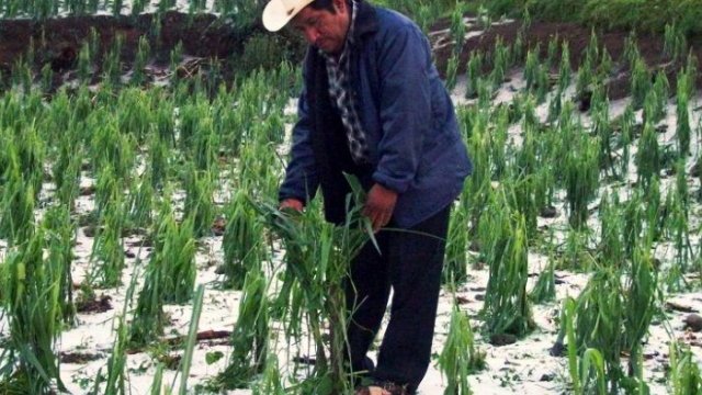 Anuncia Duarte apoyos para daños en 5 mil hectáreas por granizo