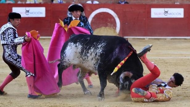 Fallece torero Víctor Barrio tras sufrir una cornada