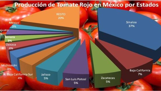 México es líder mundial en exportación de tomate en el mundo