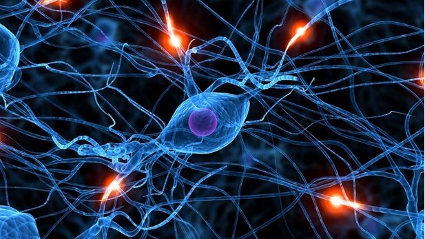Recuperan recuerdos aplicando luz a las células del cerebro