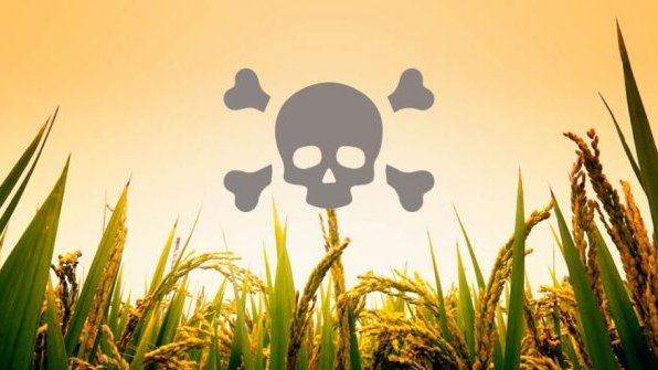 Costa Rica restringirá el uso del glifosato en la agricultura