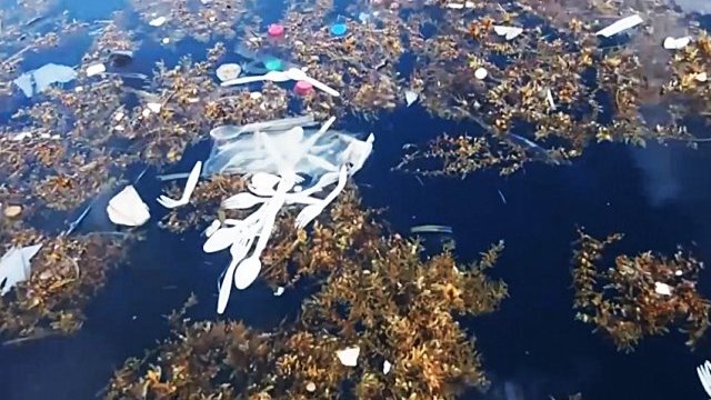 En 2050 habrá más plásticos que peces en el mar: ONU en Ensenada