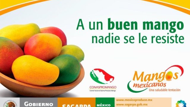 Mangos mexicanos apuntan a Rusia
