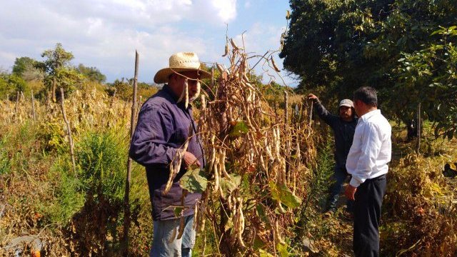 Campesinos mexiquenses sobreviven de milagro