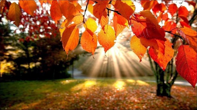 Equinoccio de otoño: ¿Qué es y en qué te afectará?