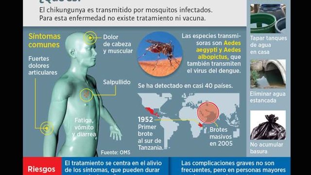 Confirmado primer caso de chikungunya en el estado