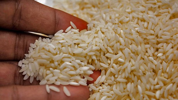 ¿Está llegando arroz de plástico al país? Mira cómo puedes reconocerlo