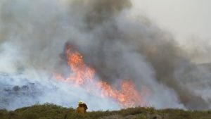670 evacuados y 3 mil 600 hectáreas quemadas en Canarias