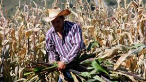 El Gobierno de Felipe Calderón debe declarar emergencia nacional en el sector alimentario  