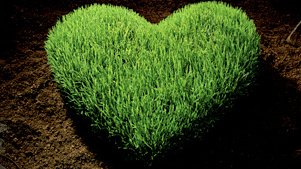 Este 14 de febrero celebra un Día de San Valentín Ecológico