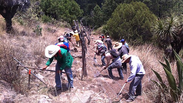 Generan empleo temporal en labores de conservación forestal