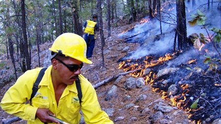 Chihuahua arde con 938 incendios forestales