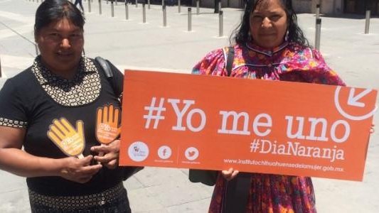 Atiende Instituto de la Mujer a 203 indígenas maltratadas