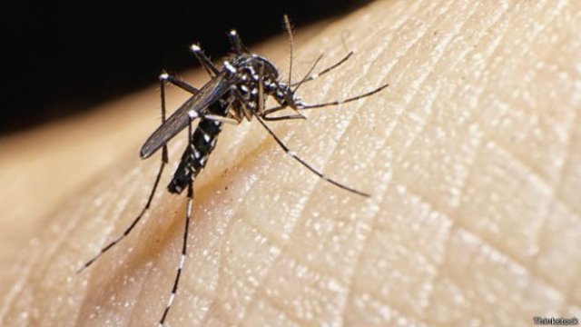 Llega la enfermedad del  Zika a México 
