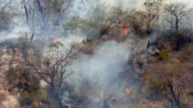 Denuncia Iglesia afectación ambiental por tala, narco y megaproyectos