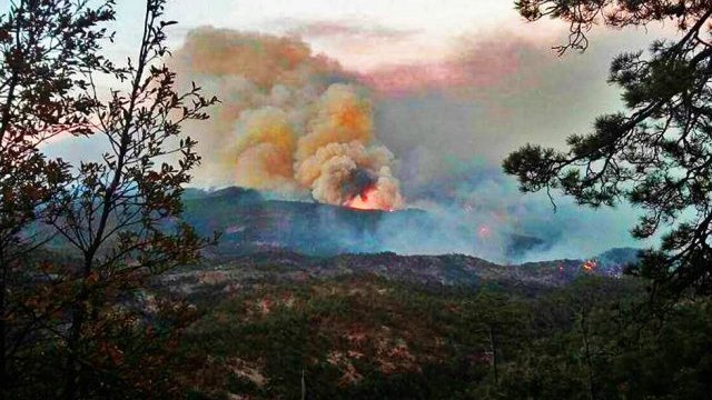 Madera: incendio en El Largo consumió ya 13 mil hectáreas