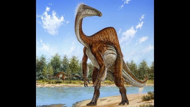 Encuentran dinosaurio de extravagante aspecto en Mongolia