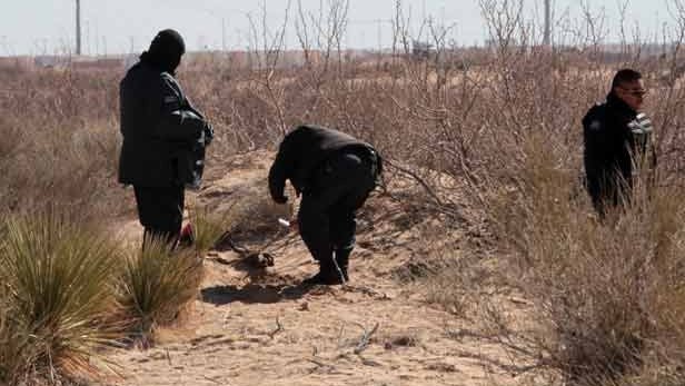 Hallaron 66 huesos y una osamenta en rastreos en Valle de Juárez