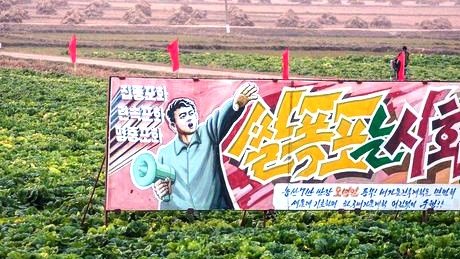 Producir alimentos en Corea del Norte