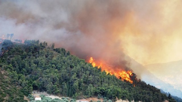 Luchan contra fuerte incendio en la Sierra de Chihuahua