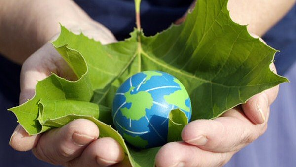 Día mundial del medio ambiente, hoy jueves