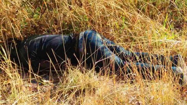 Hallan el cadáver de un hombre tirado en la carretera a Madera