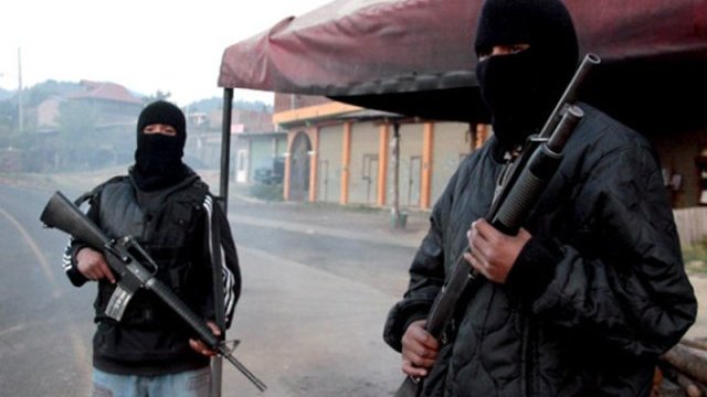Autodefensas operan en 46 de 81 municipios de Guerrero: CNDH