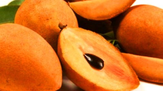 México: Usan fruta para producir endulzante natural