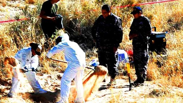 Hallan tres cuerpos en fosas clandestinas en el Valle de Juárez