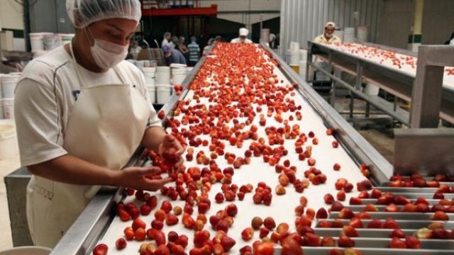  El superávit comercial agroalimentario con EEUU crece un 46%