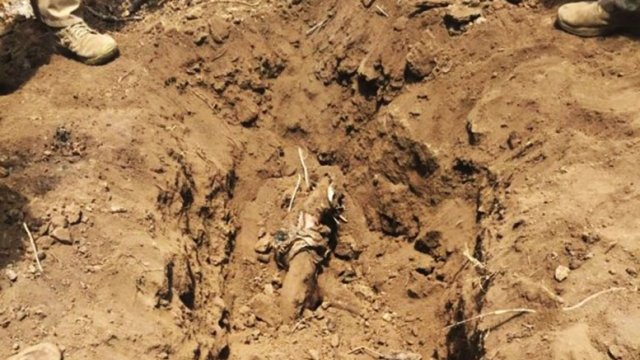 Terminan rastreo en Madera: localizaron ocho cuerpos