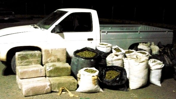 Confiscan más de un cuarto de tonelada de marihuana 