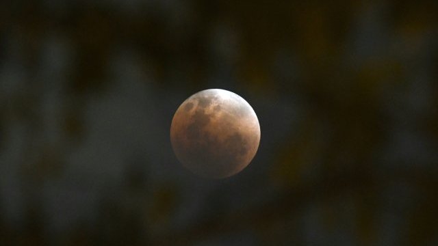 Espectacular, el eclipse con super luna 